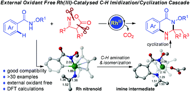 Graphical abstract: Rh(iii)-Catalysed cascade C–H imidization/cyclization of N-methoxybenzamides with isoxazolones for the assembly of dihydroquinazolin-4(1H)-one derivatives