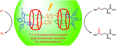 Graphical abstract: A cucurbit[8]uril-stabilized 3D charge transfer supramolecular polymer with a remarkable confinement effect for enhanced photocatalytic proton reduction and thioether oxidation