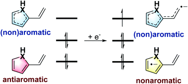 Graphical abstract: Antiaromaticity-promoted radical anion stability in α-vinyl heterocyclics