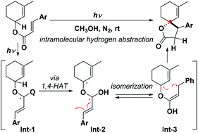 Graphical abstract: An unexpected photoinduced cyclization to synthesize fully substituted γ-spirolactones via intramolecular hydrogen abstraction with allyl acrylates