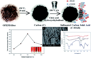 Graphical abstract: The green synthesis of a palm empty fruit bunch-derived sulfonated carbon acid catalyst and its performance for cassava peel starch hydrolysis