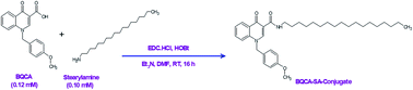 Graphical abstract: Polysorbate-80 surface modified nano-stearylamine BQCA conjugate for the management of Alzheimer's disease