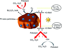 Graphical abstract: Enhanced photocatalytic performance of rhodamine B and enrofloxacin by Pt loaded Bi4V2O11: boosted separation of charge carriers, additional superoxide radical production, and the photocatalytic mechanism