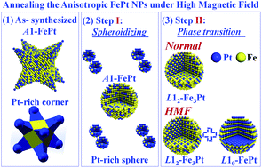 Graphical abstract: Effects of high magnetic field annealing on FePt nanoparticles with shape-anisotropy and element-distribution-anisotropy