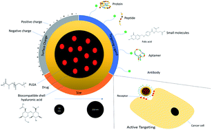 Graphical abstract: Cytotoxicity of targeted PLGA nanoparticles: a systematic review