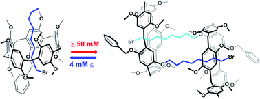 Graphical abstract: Concentration-dependent supramolecular self-assembly of A1/A2-asymmetric-difunctionalized pillar[5]arene