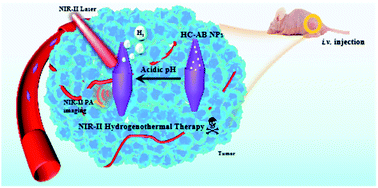 Graphical abstract: Hollow carbon-based nanosystem for photoacoustic imaging-guided hydrogenothermal therapy in the second near-infrared window