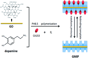 Graphical abstract: An ionic liquid–molecularly imprinted composite based on graphene oxide for the specific recognition and extraction of cancer antigen 153