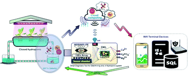 Graphical abstract: A smart diagnostic tool based on deep kernel learning for on-site determination of phosphate, calcium, and magnesium concentration in a hydroponic system