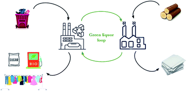 Graphical abstract: Towards circular fashion – transforming pulp mills into hubs for textile recycling
