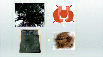 Graphical abstract: A state-of-the-art review on coir fiber-reinforced biocomposites