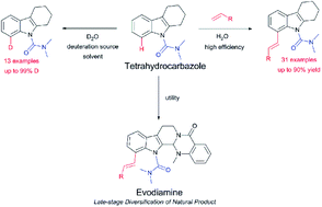 Graphical abstract: Rhodium(iii) catalyzed olefination and deuteration of tetrahydrocarbazole