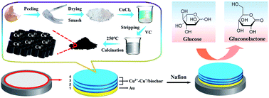 Graphical abstract: Waste eggshell membrane-templated synthesis of functional Cu2+–Cu+/biochar for an ultrasensitive electrochemical enzyme-free glucose sensor