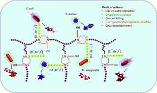 Graphical abstract: Piperazine based antimicrobial polymers: a review