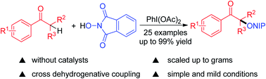 Graphical abstract: Synthesis of N-alkoxyphthalimide derivatives via PIDA-promoted cross dehydrogenative coupling reaction