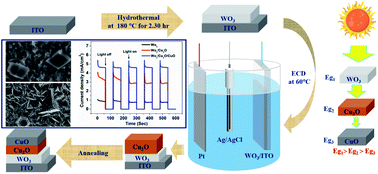 Graphical abstract: Boosting light harvesting and charge separation of WO3 via coupling with Cu2O/CuO towards highly efficient tandem photoanodes