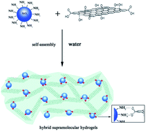 Graphical abstract: Ultralight hybrid silica aerogels derived from supramolecular hydrogels self-assembled from insoluble nano building blocks