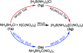 Graphical abstract: A general method for the synthesis of covalent and ionic amine borane complexes containing trinitromethyl fragments