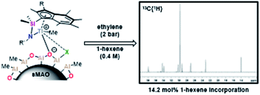 Graphical abstract: Synthesis of ultra-high molecular weight poly(ethylene)-co-(1-hexene) copolymers through high-throughput catalyst screening