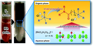 Graphical abstract: Amide-functionalised phosphonium-based ionic liquids as ligands for rhodium(iii) extraction