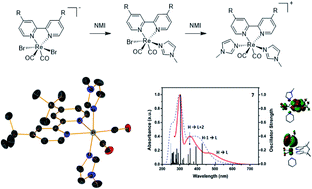 Graphical abstract: Aerobically stable and substitutionally labile α-diimine rhenium dicarbonyl complexes