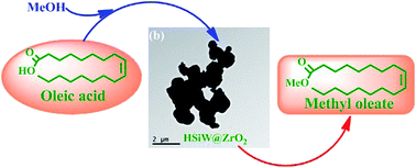 Graphical abstract: MOF-derived zirconia-supported Keggin heteropoly acid nanoporous hybrids as a reusable catalyst for methyl oleate production