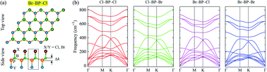 Graphical abstract: Structural, elastic, and electronic properties of chemically functionalized boron phosphide monolayer