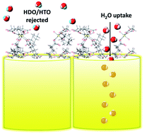 Graphical abstract: Selectivity for water isotopologues within metal organic nanotubes