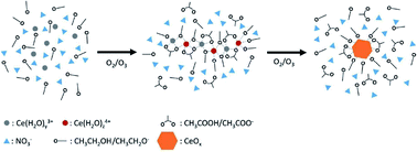 Graphical abstract: Synthesis and characterization of nanoceria for electrochemical sensing applications