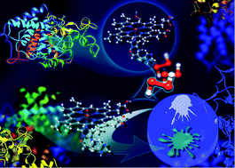 Graphical abstract: Monitoring the heme iron state in horseradish peroxidase to detect ultratrace amounts of hydrogen peroxide in alcohols