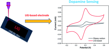 Graphical abstract: Biomass-derived porous graphene for electrochemical sensing of dopamine
