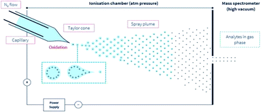 Graphical abstract: Current perspectives on supercharging reagents in electrospray ionization mass spectrometry