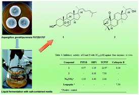 Graphical abstract: New protein tyrosine phosphatase inhibitors from fungus Aspergillus gorakhpurensis F07ZB1707