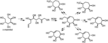 Graphical abstract: Synthesis of novel seven-membered carbasugars and evaluation of their glycosidase inhibition potentials