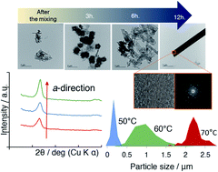 Graphical abstract: Directional growth of octacalcium phosphate using micro-flow reactor mixing and subsequent aging