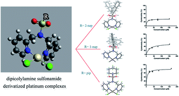 Graphical abstract: Synthesis, characterization and biological evaluation of dipicolylamine sulfonamide derivatized platinum complexes as potential anticancer agents