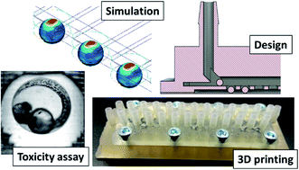 Graphical abstract: A millifluidic chip for cultivation of fish embryos and toxicity testing fabricated by 3D printing technology