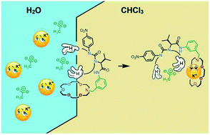 Graphical abstract: Development of effective potassium acetate extractant