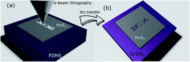 Graphical abstract: Electron beam lithography for direct patterning of MoS2 on PDMS substrates