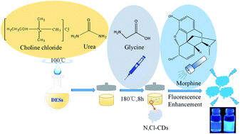 Graphical abstract: Novel N,Cl-doped deep eutectic solvents-based carbon dots as a selective fluorescent probe for determination of morphine in food