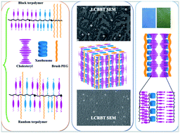 Graphical abstract: Cholesteric mesophase based 1D photonic materials from self-assembly of liquid crystalline block and random terpolymers containing chromonic molecules