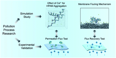 Graphical abstract: Analysis of zwitterionic membrane fouling mechanism caused by HPAM in the presence of electrolytes