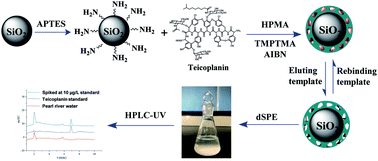 Graphical abstract: Preparation of surface molecularly imprinted polymer and its application for the selective extraction of teicoplanin from water