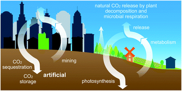 Graphical abstract: Plant-based CO2 drawdown and storage as SiC
