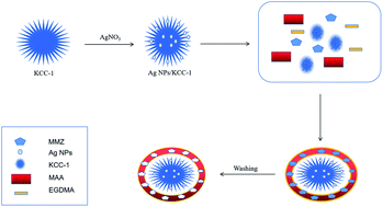Graphical abstract: Preparation and application of methimazole molecularly imprinted polymer based on silver-loaded dendritic fiber-type silica