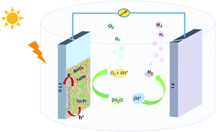 Graphical abstract: Efficient charge separation and transfer of a TaON/BiVO4 heterojunction for photoelectrochemical water splitting