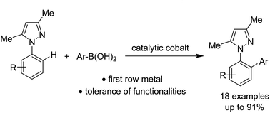 Graphical abstract: Cobalt-catalyzed, directed arylation of C–H bonds in N-aryl pyrazoles
