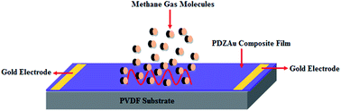 Graphical abstract: Design and development of highly sensitive PEDOT-PSS/AuNP hybrid nanocomposite-based sensor towards room temperature detection of greenhouse methane gas at ppb level