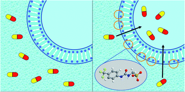 Graphical abstract: Supramolecular self-associating amphiphiles (SSAs) as enhancers of antimicrobial agents towards Escherichia coli (E. coli)