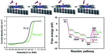 Graphical abstract: Oxygen reduction reaction activity of an iron phthalocyanine/graphene oxide nanocomposite